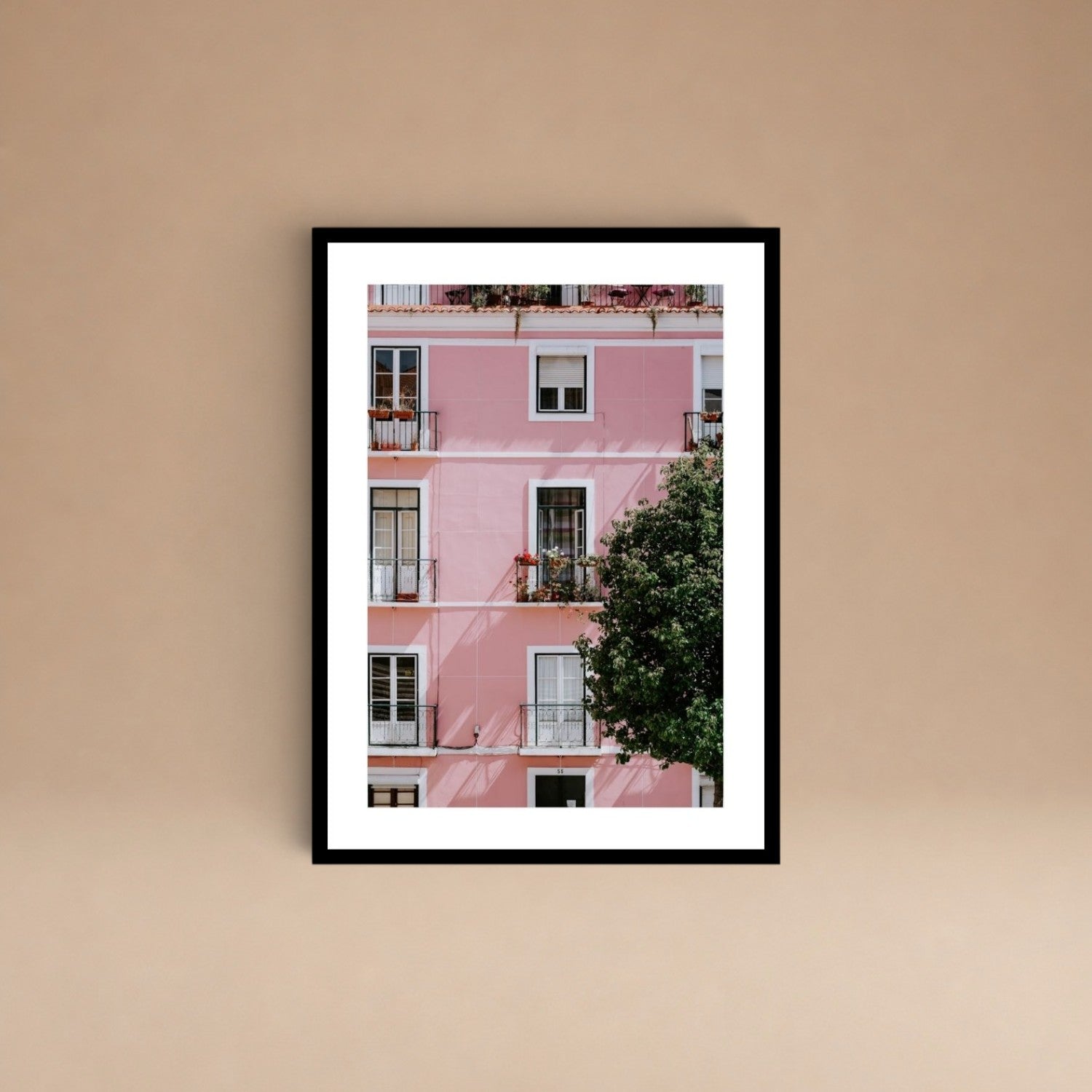 Cuadro Casa Rosada