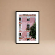 Cuadro Casa Rosada