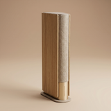 BEOSOUND EMERGE