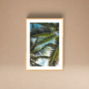 Cuadro Brisa Tropical