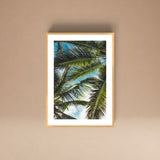 Cuadro Brisa Tropical