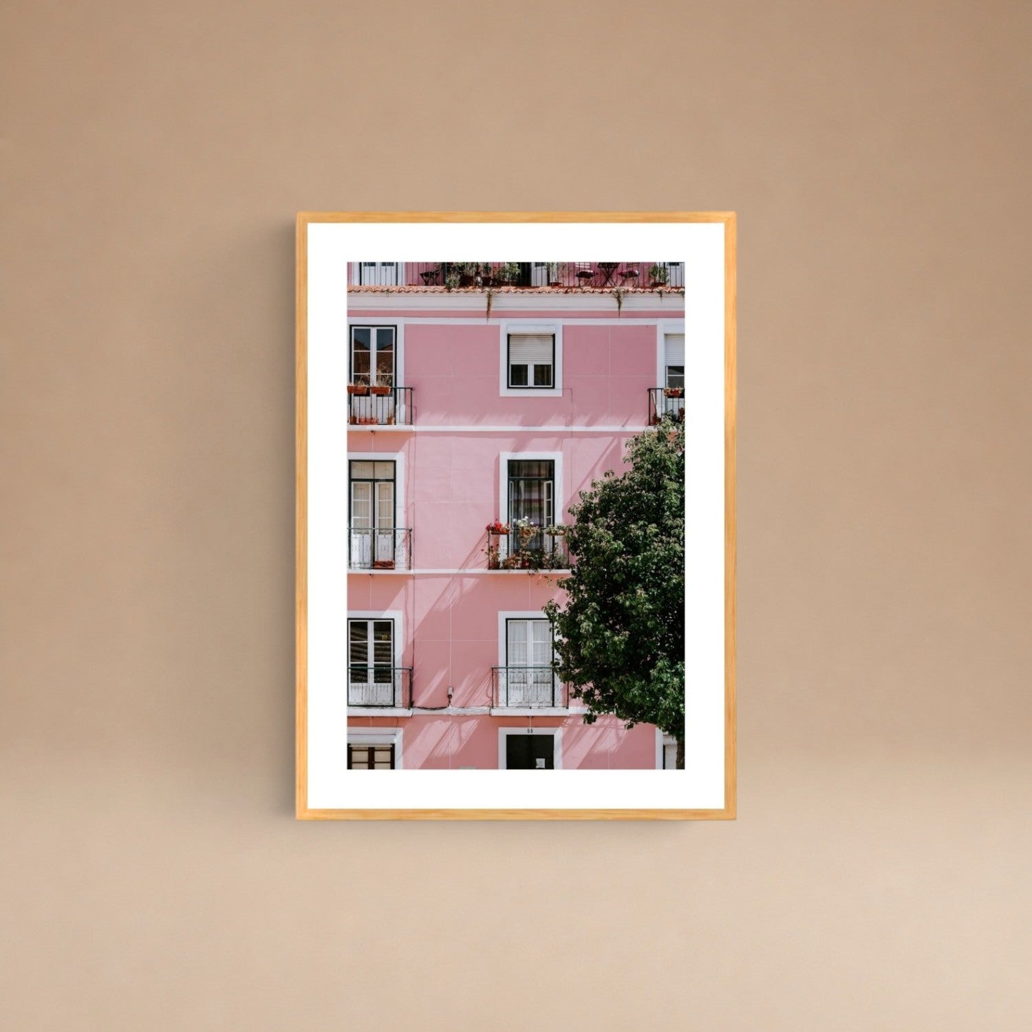 Cuadro Casa Rosada