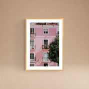 Cuadro Casa Rosada
