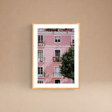 Cuadro Casa Rosada
