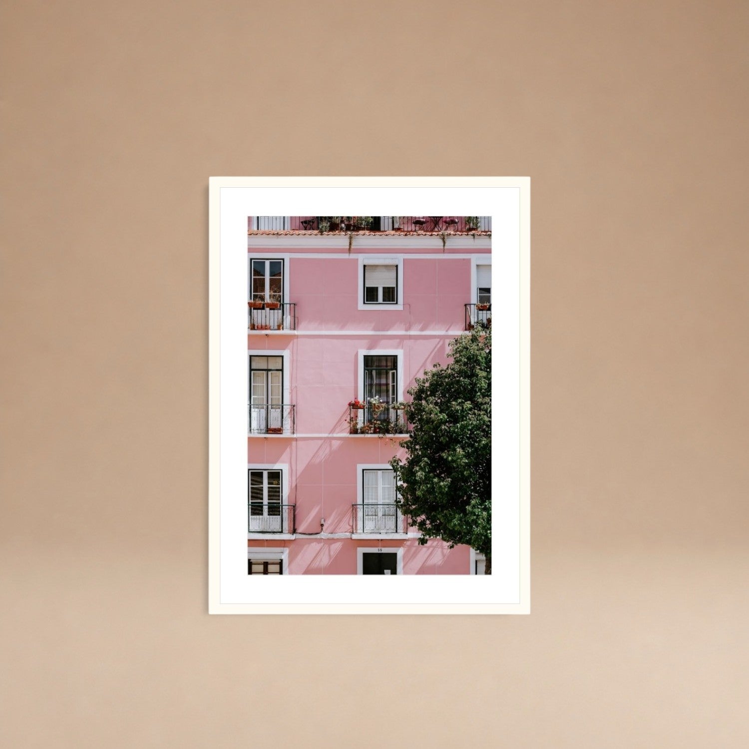Cuadro Casa Rosada