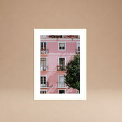 Cuadro Casa Rosada