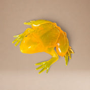 Sapo