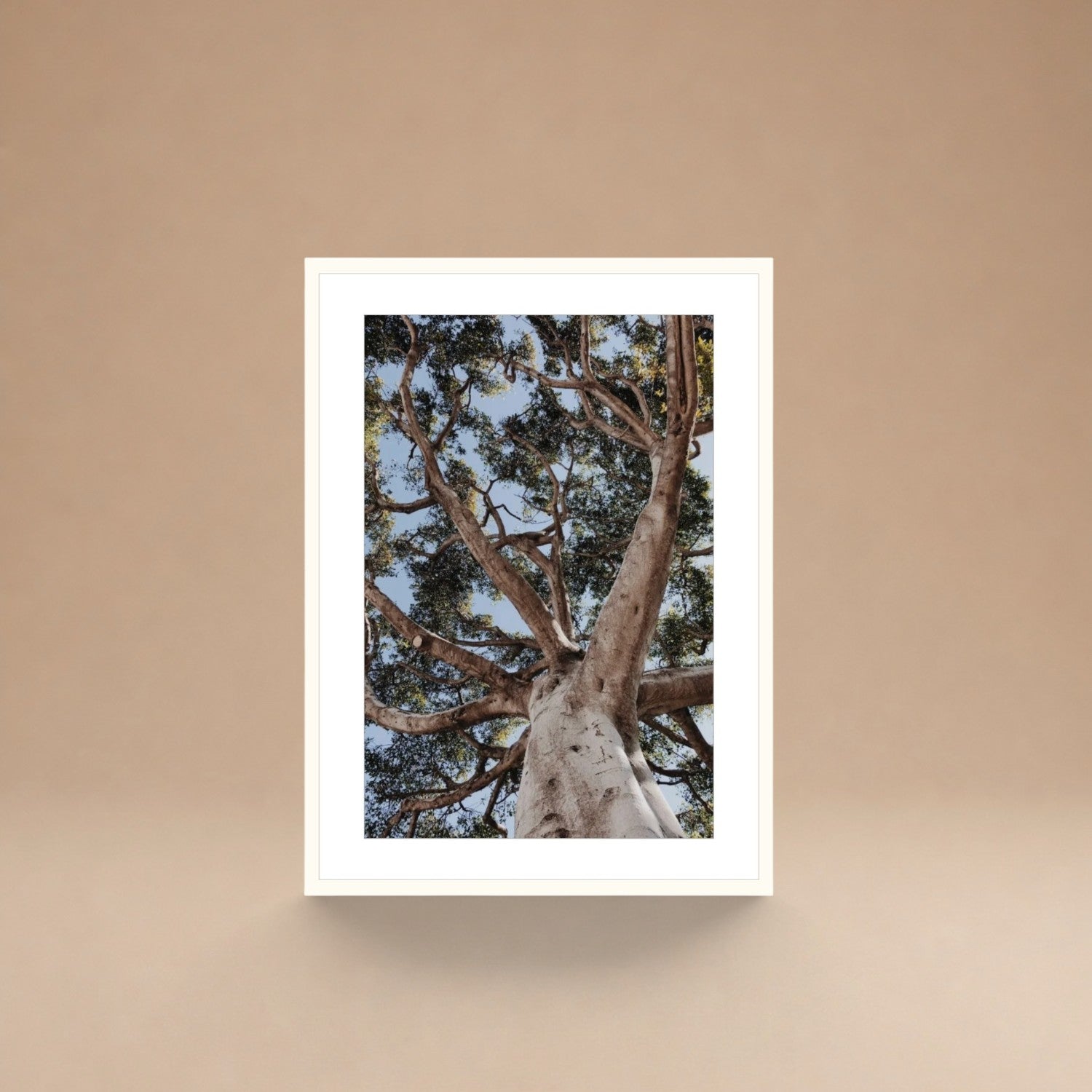 Cuadro Árbol de la Vida