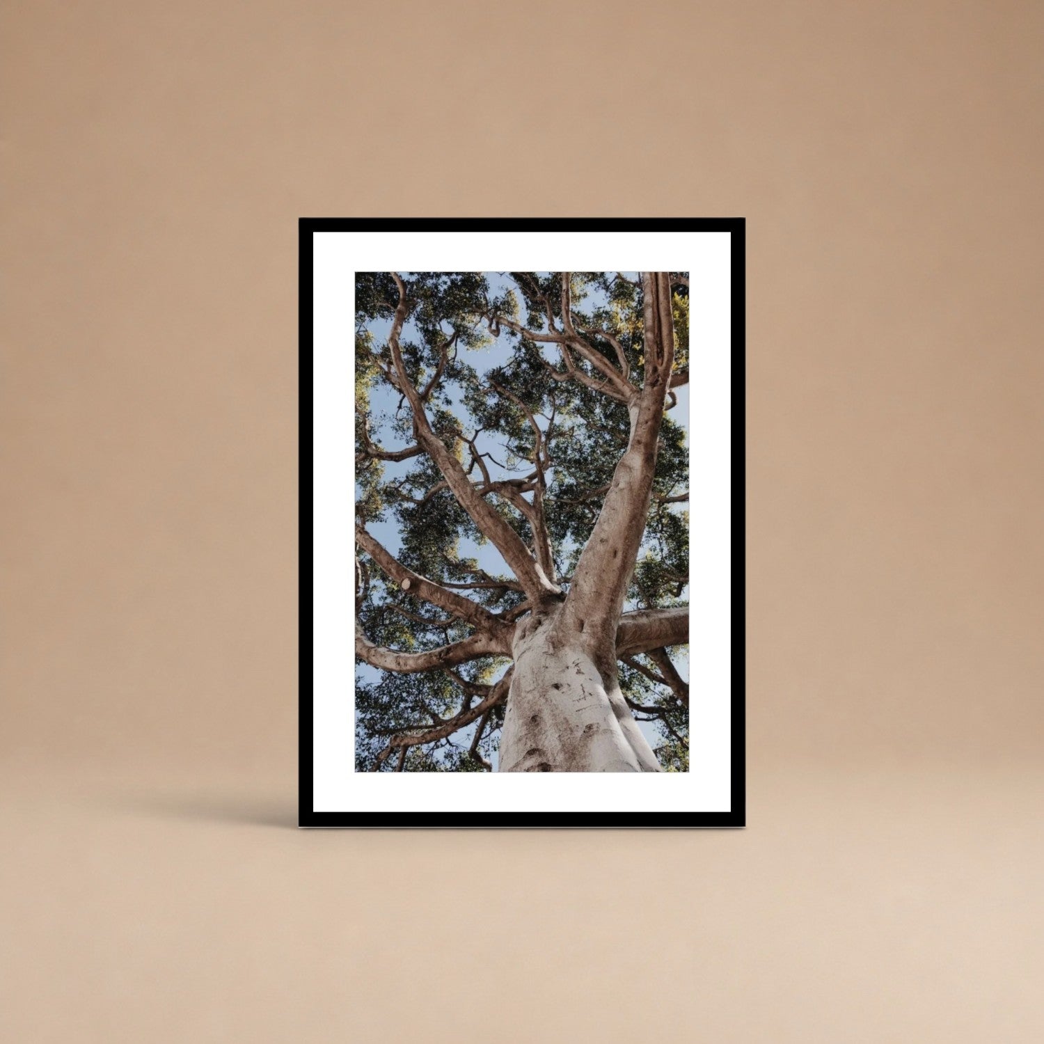 Cuadro Árbol de la Vida