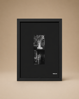 COLOR FRAME