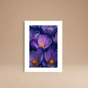 Cuadro Flores Moradas