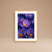 Cuadro Flores Moradas