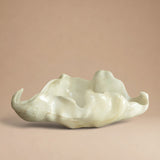 Fuente Aracol
