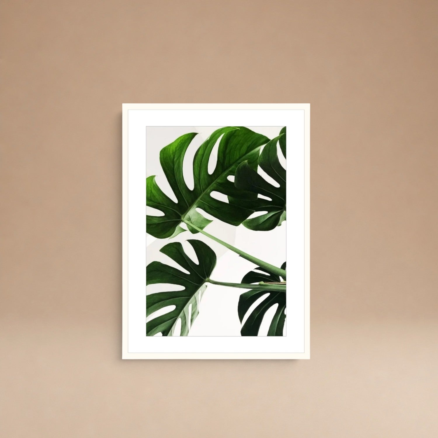 Cuadro Monstera Viva
