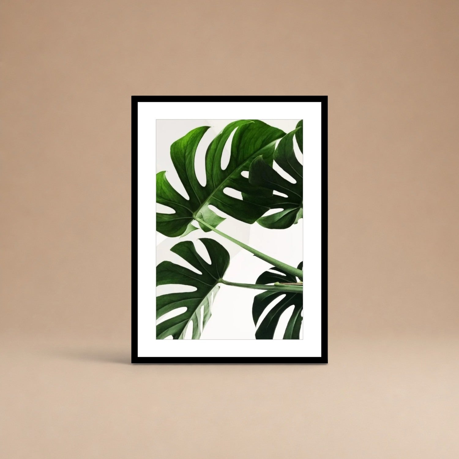 Cuadro Monstera Viva