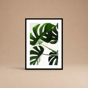 Cuadro Monstera Viva