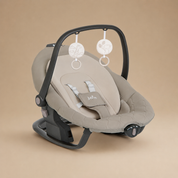 SILLA MECEDORA PARA BEBÉ JOIE 2 EN 1 SERINA HAZELNUT