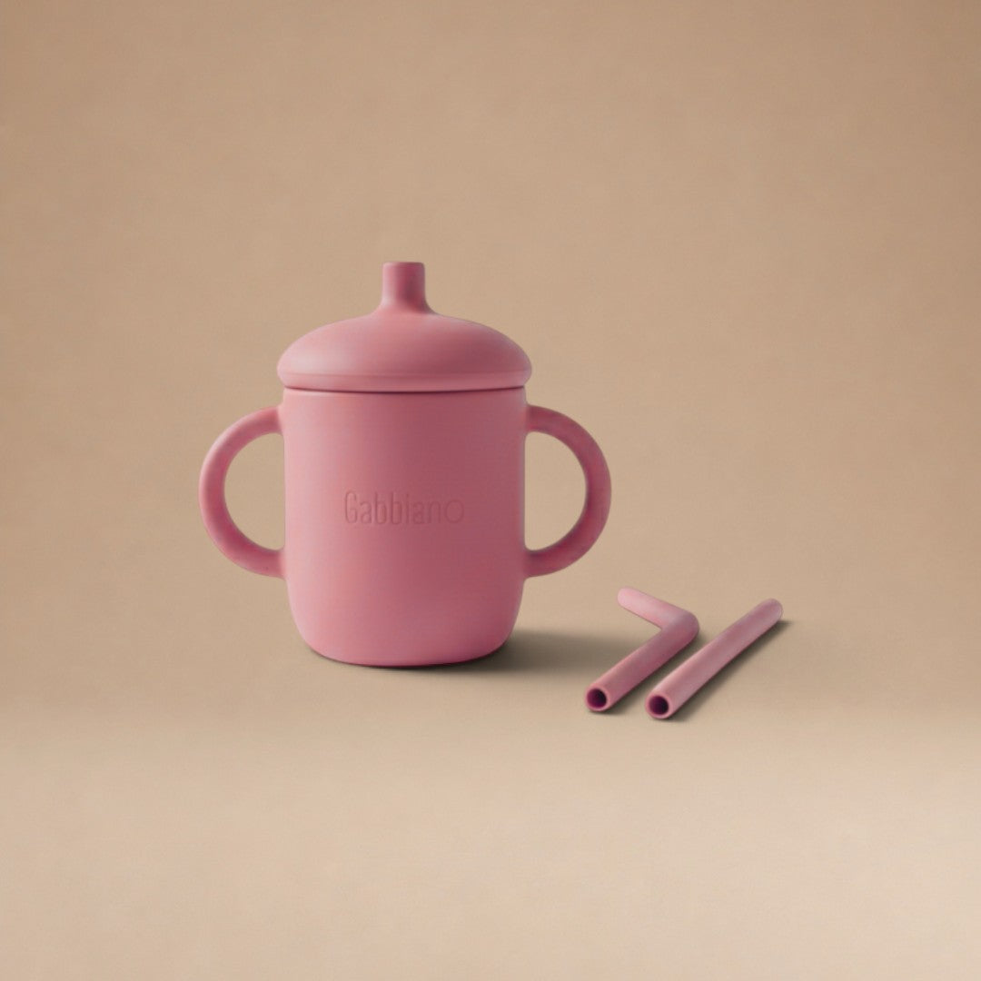 SET DE ALIMENTACIÓN COMPLEMENTARIA