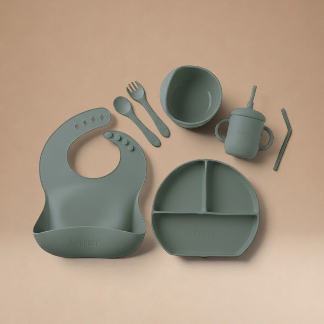 SET DE ALIMENTACIÓN COMPLEMENTARIA