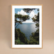Cuadro Vista Lago