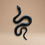 Serpiente