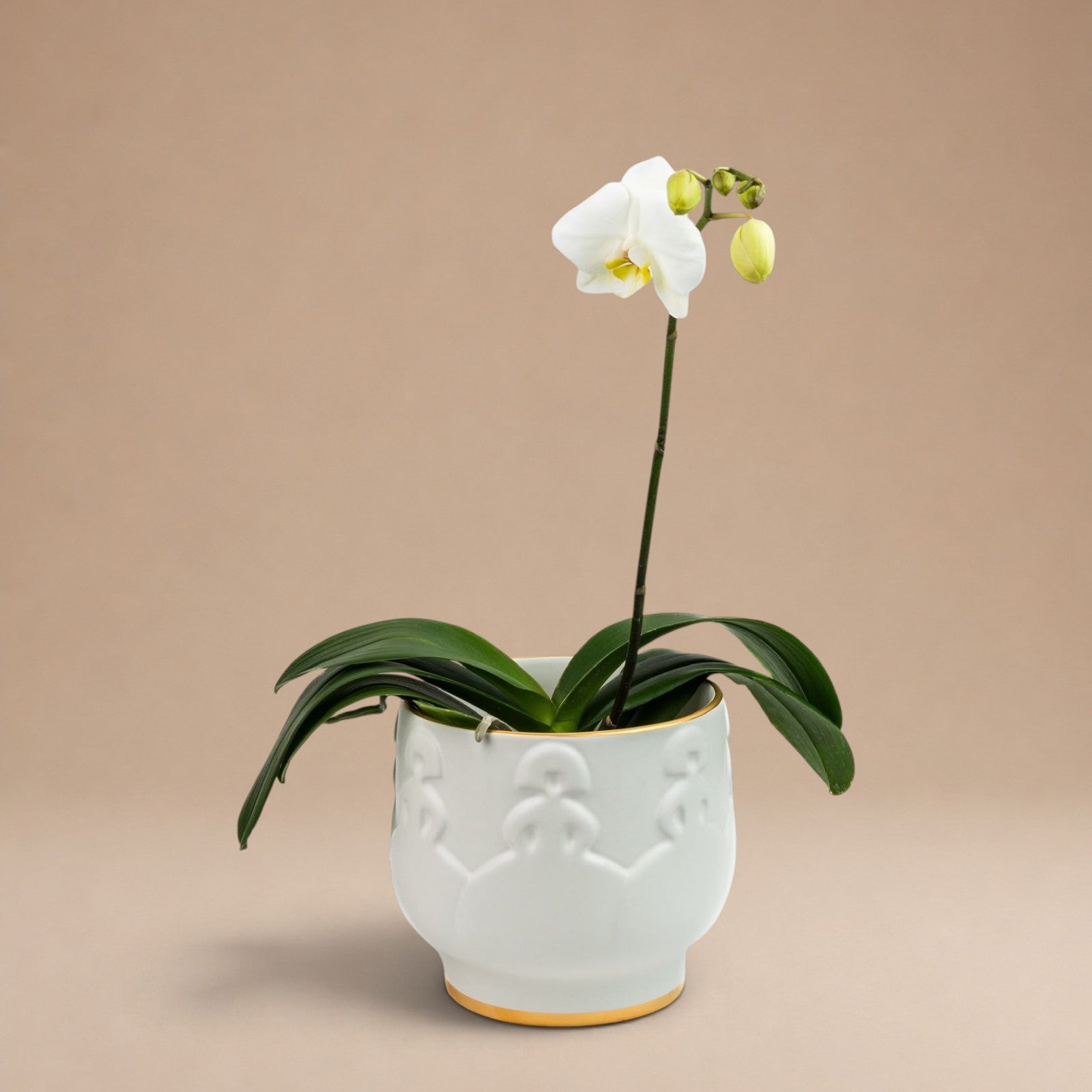 Porta Orquídea de Meninas Silueta con Oro