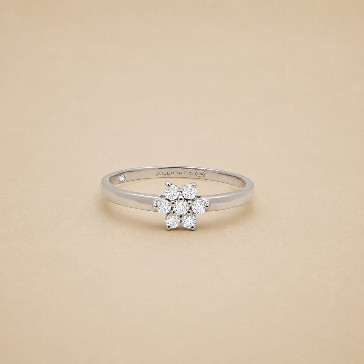 anillo-roseta-estrella.png