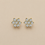 Aretes Roseta Estrella