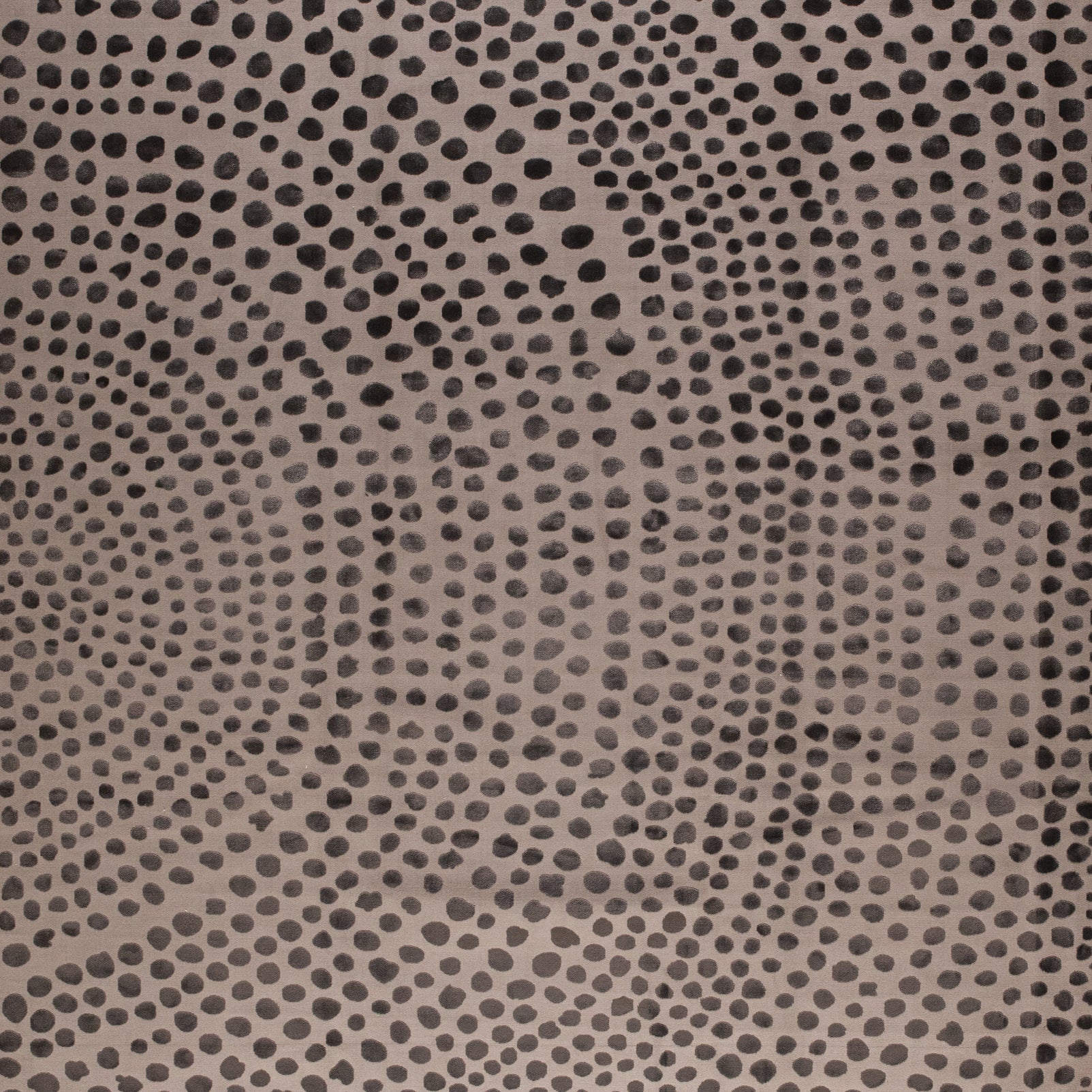 gaspar-gris-1.jpg