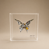 Mariposa de origami