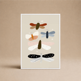MARIPOSAS