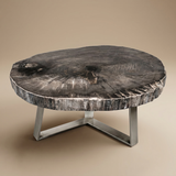 Mesa Madera Petrificada Mediana