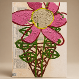 NOT A ROSE, MIKE SWANEY
