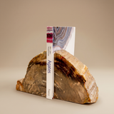Portalibros Madera Petrificada