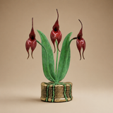 SALOME BUYS HER OWN FLOWERS, JAMES JESSIMAN